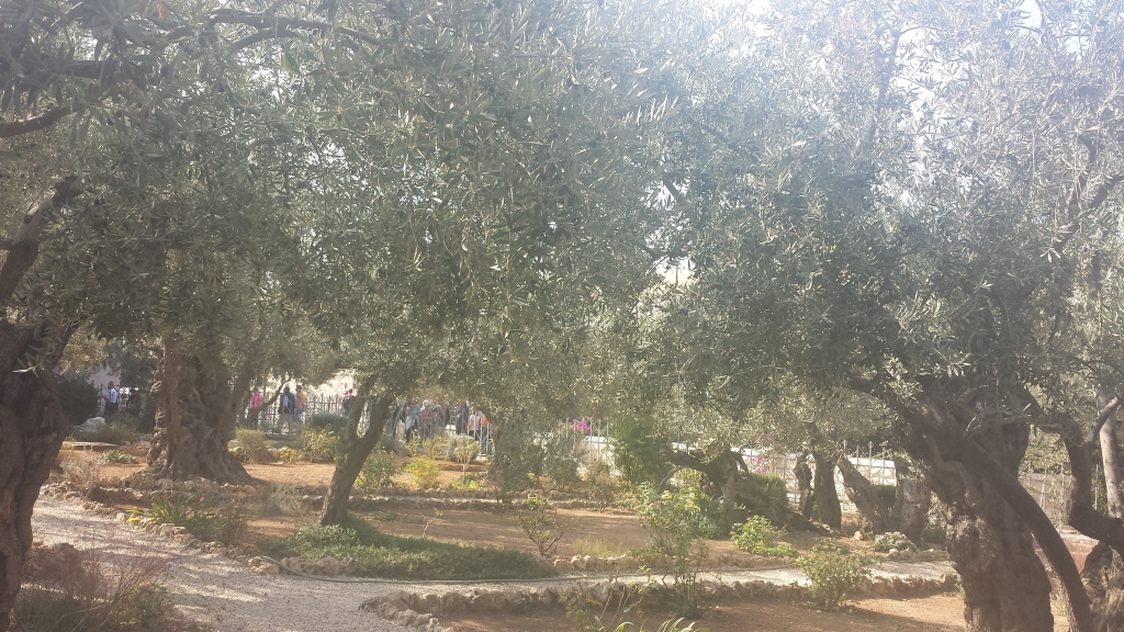 You Were Healed Prayer (Garden of Gethsemane)